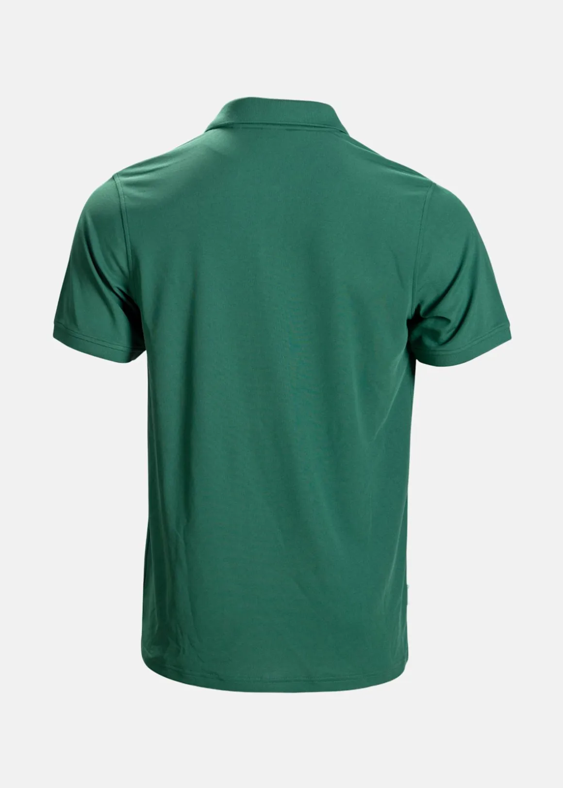 AM Polo