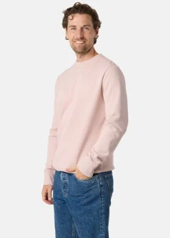 College Sweater
