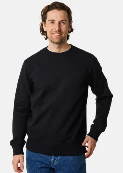College Sweater