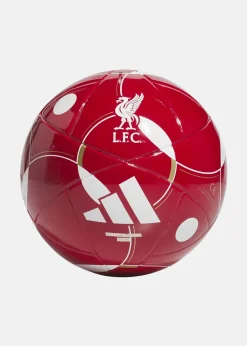 LFC MINI HOME
