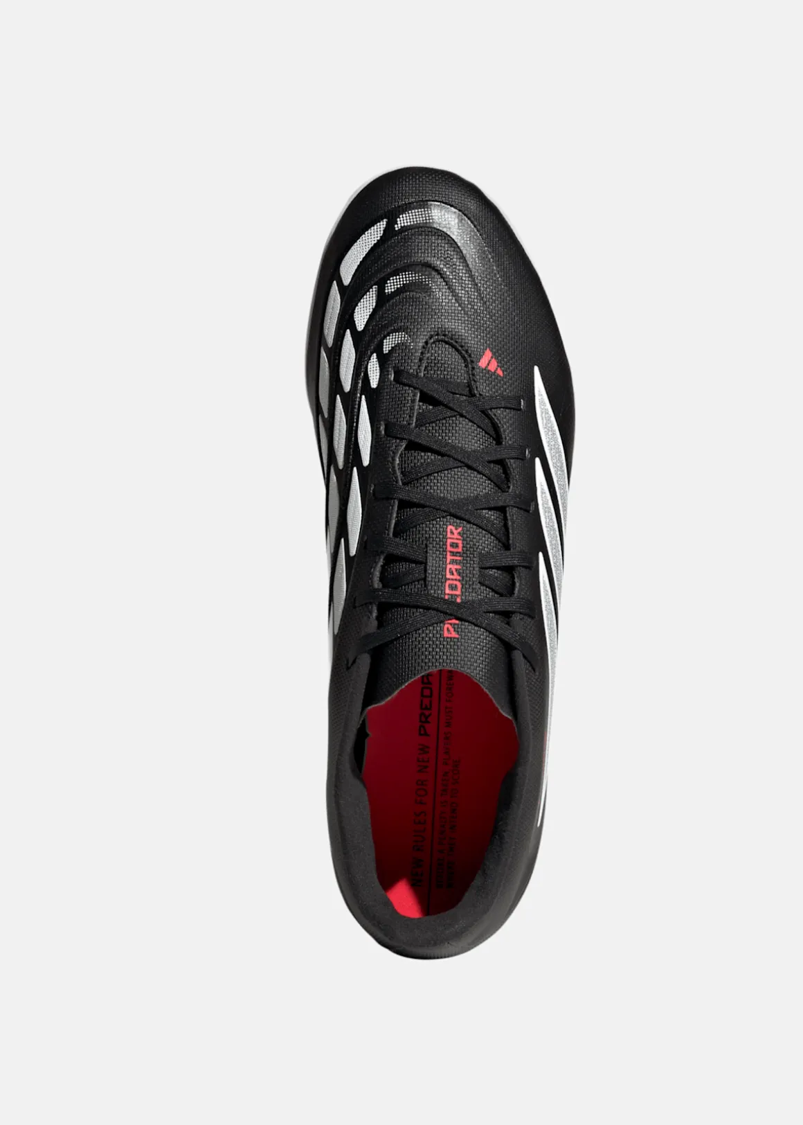 PREDATOR CLUB TF