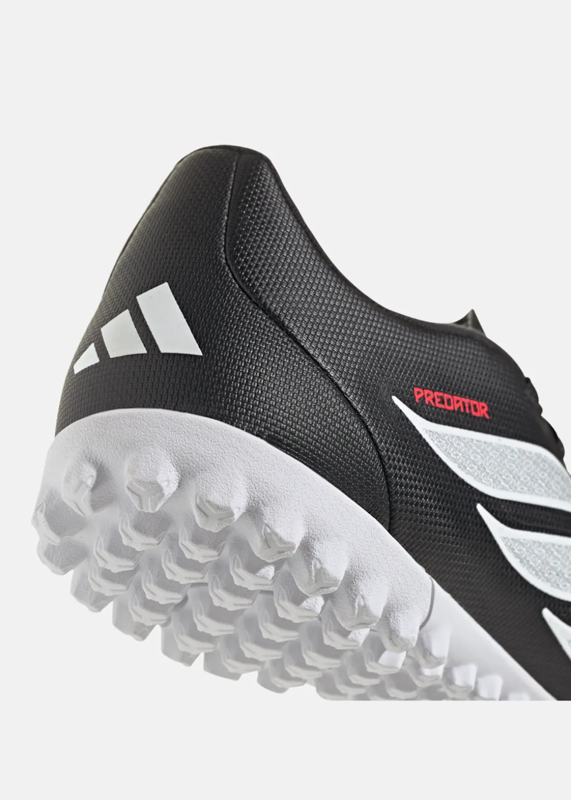 PREDATOR CLUB TF