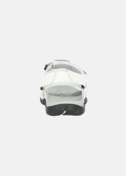 SPIDER PRO W