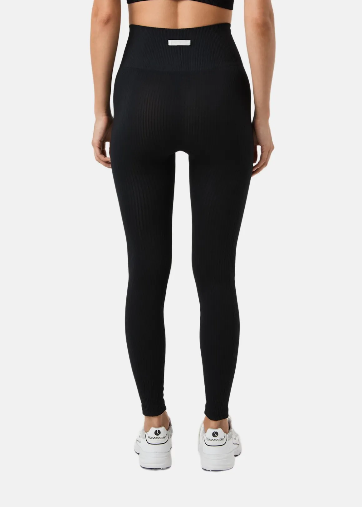 STUDIO SEAMLESS RIBBED TIGHTS