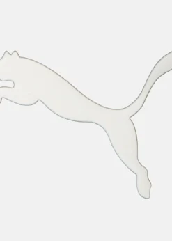 Train Puma Strong 3